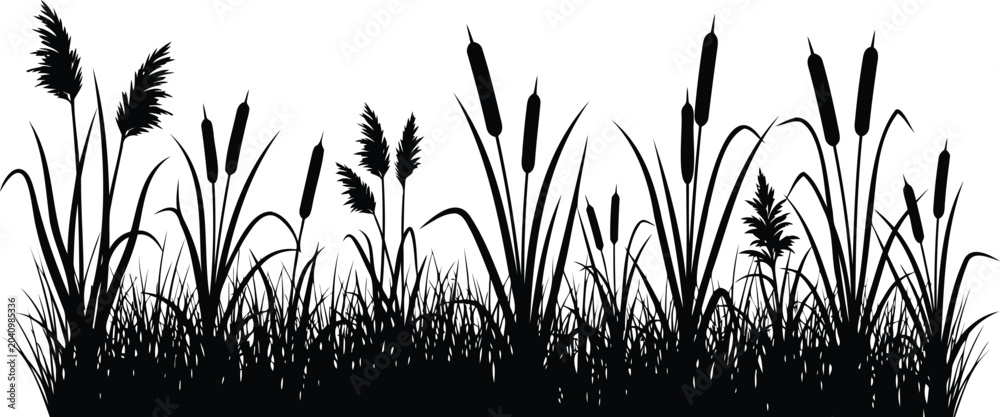 Obraz premium Black silhouette of cattails and wild grass in a field