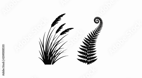 Silhouette of grasses and a curled fern frond