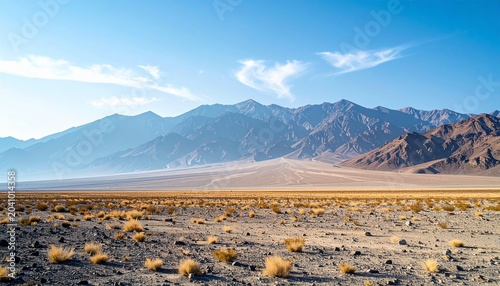 Vast desert landscape with mountains under a clear blue sky.