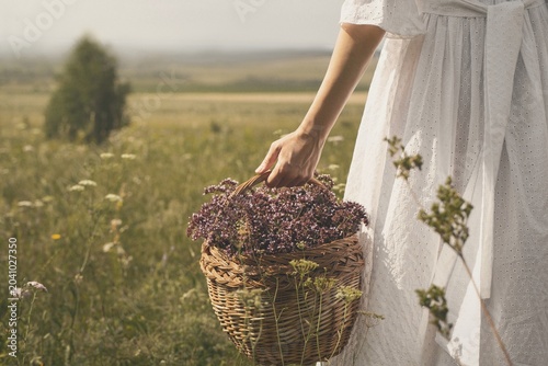 A hand of woman in white vintage dress holding a wicker basket full of wild oregano flowers in a summer meadow, herbal magic and connection with nature, copy space.