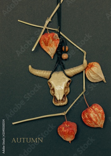 Mystical bull skull amulet with dried physalis pods on dark background, witchcraft and pagan magic concept, vertical image.