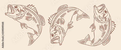 Konstfotografi hand drawn largemouth bass fish engraving style vector illustration set