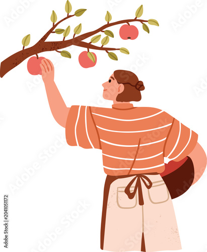 Obraz na płótnie Woman Picking Red Apples Illustration