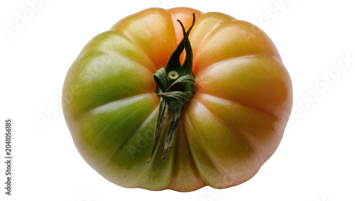 Canvas Print Unripe green and yellow heirloom tomato with stem