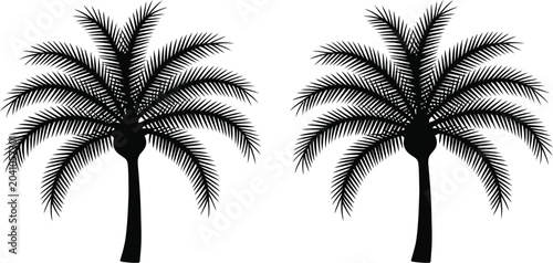 Bild auf Leinwand Two tropical palm trees vector illustration featuring detailed black silhouettes