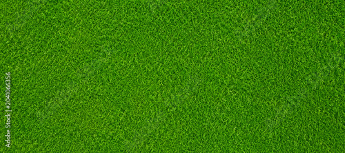 Lush green grass texture with selective focus for natural background applications