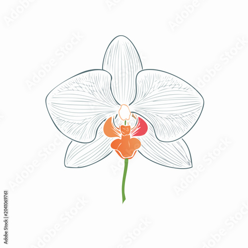 Elegant orchid flower line art, flowing petals, thin botanical outline, modern minimalist floral illustration, isolated white background