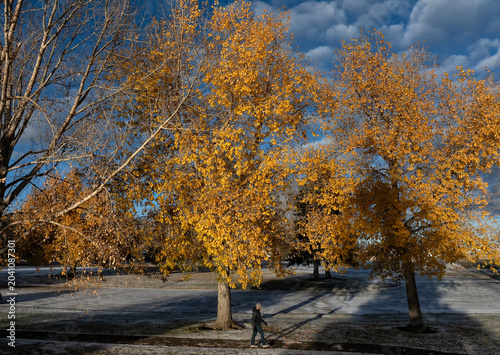 Fall color at sunrise; Laramie, Wyoming