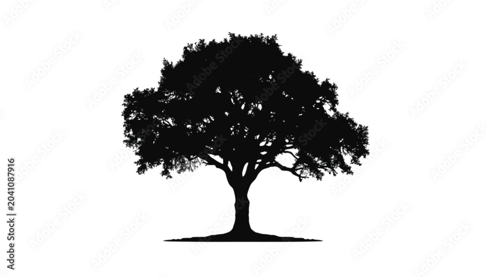 Fototapeta premium Tree silhouette with a broad canopy and extensive root system stands against a plain white surface.