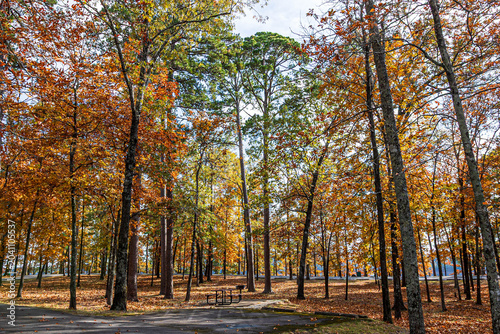 Camping area in Autumn Woods, DeGray Lake Resort State Park, Arkansas