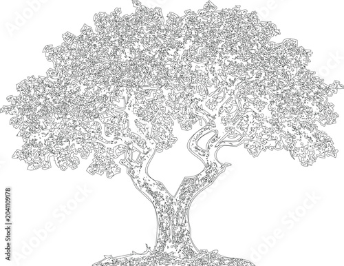 Obraz na płótnie Wide canopy tree vector drawing for outdoor environment design architectural landscaping sketch isolated on background