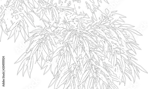 Φωτογραφία Intricate bamboo leaf cluster line art illustration vector drawing with detailed patterns on transparent background art