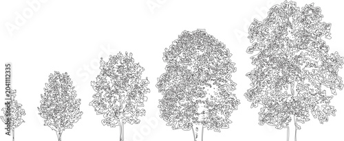 Fotografija Five distinct tree silhouettes, each with varying foliage density and shape, presented on transparent background