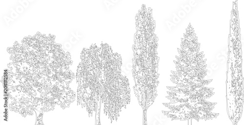 Tableau sur toile Outline of five varied trees, displaying diverse shapes from round to tall and slender, on a transparent background