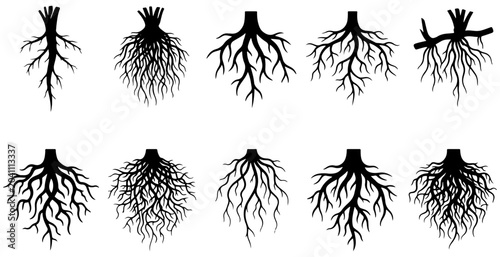 Tree root black vector silhouettes collection showing different underground root shapes, biological plant anatomy, flora rootstocks, and subterranean garden growth vectors