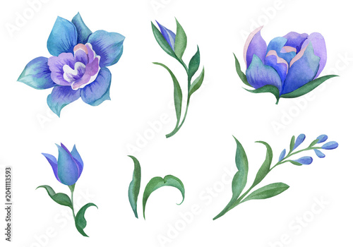 Set of watercolor blue and purple flowers, buds, and leaves isolated on a transparent background.