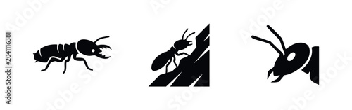 Foto Ant Insect Icon Set