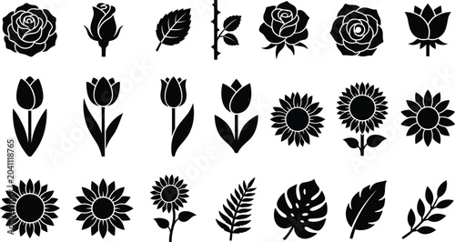 Valokuva Black and white floral and star pattern collection seamless