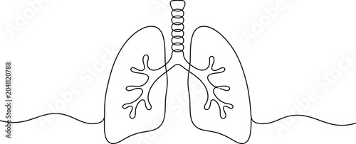 Bild auf Leinwand Human lungs with trachea and bronchi isolated on transparent background