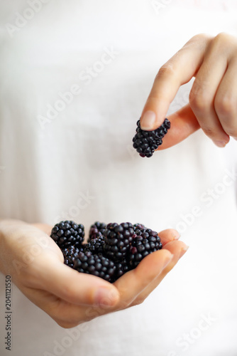 Vertical close up of a woman hands holding fresh ripe blackberries against a white background.