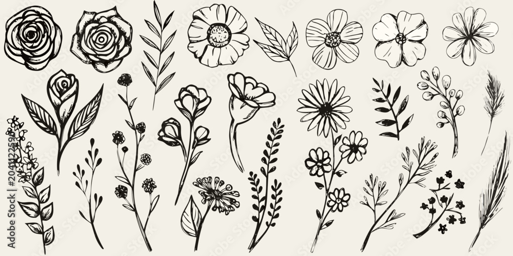 Naklejka premium hand drawn botanical illustrations in black and white line art flowers leaves