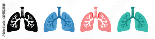 Foto Human lungs anatomy icon set vector illustration