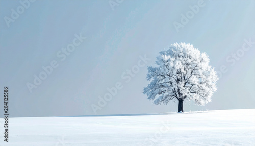 Frozen tree in winter landscape on snowy field