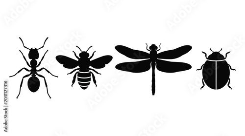 Bilde på lerret Insect Silhouettes On White Background A Collection Of Bug Shapes