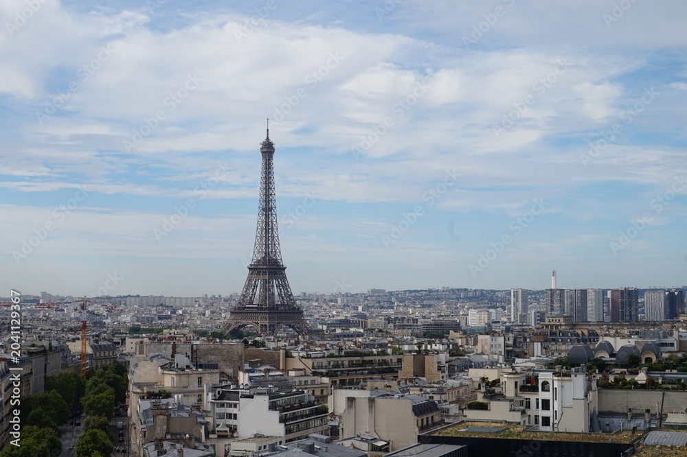 Fototapeta premium eiffel tower in paris france