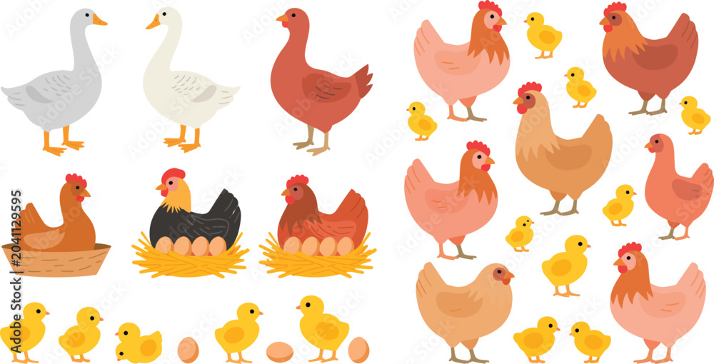 Fototapeta premium Colorful chickens and chicks illustration set