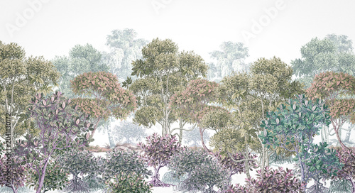 pine tree in the forest