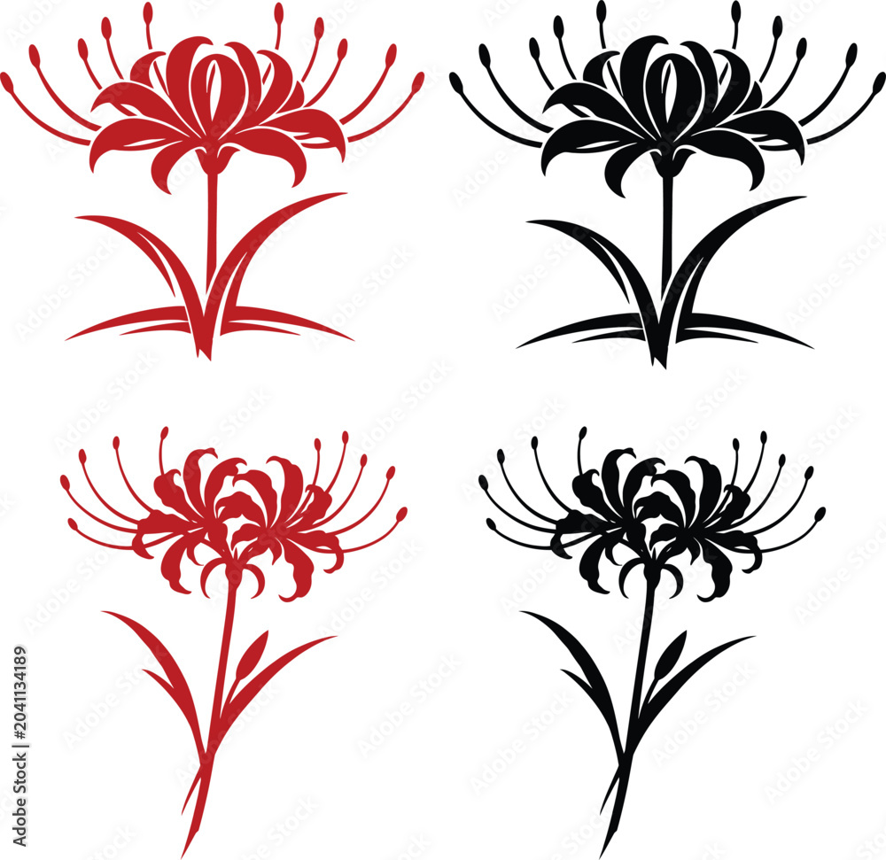 Foto Red spider lily vector set