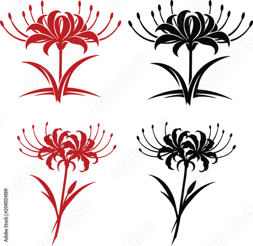 Tableau sur toile Red spider lily vector set