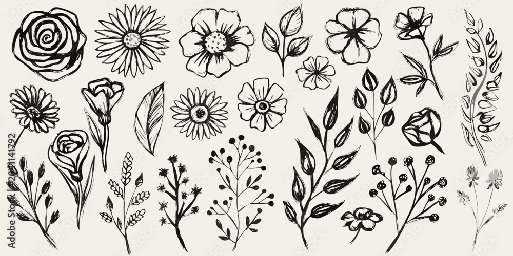 Naklejka premium hand drawn botanical illustrations in black and white hand drawn flowers leaves plants