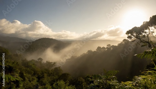 Humid tropical jungle with sun and fog around. Generated with AI