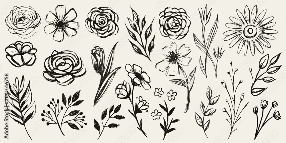 Fototapeta premium collection of hand drawn botanical illustrations in black and white hand drawn flowers