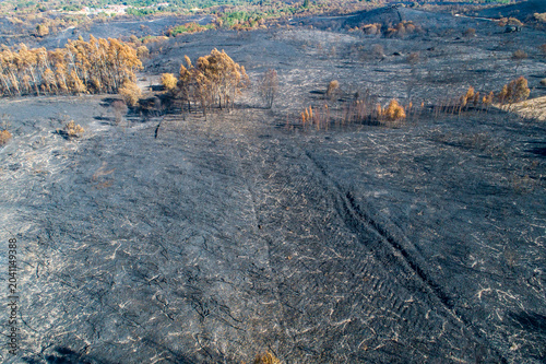 Aerial view of burnt forest and black soil The Concept of environmental disaster