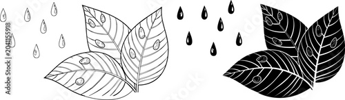 Foto Illustration of leaves changing from dry to wet in rainy weather