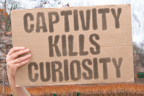 Obraz na plátně "Captivity kills curiosity" Confinement destroys natural exploration