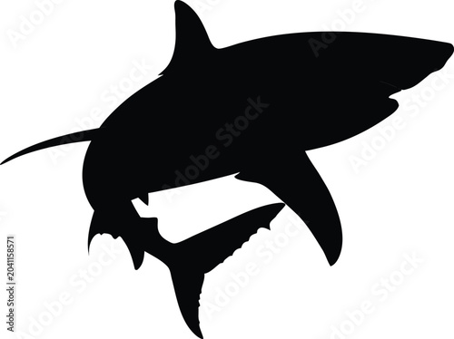 Shark Silhouette, Black Shark Icon, Vector Shark Graphic, Ocean Animal Symbol