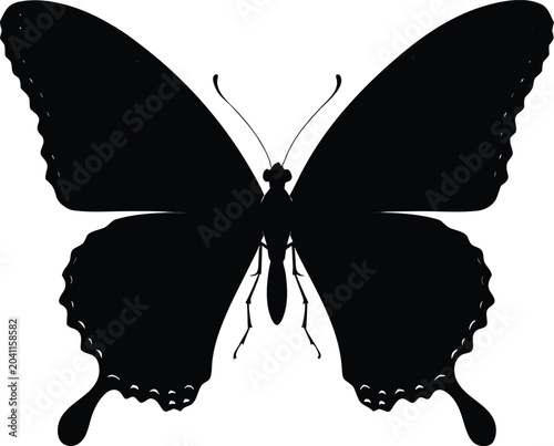 Butterfly silhouette, black insect icon, winged creature, vector graphic