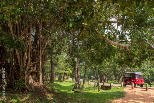 Bild auf Leinwand Parco nelle rovine di anuradhapura in Sri LAnka