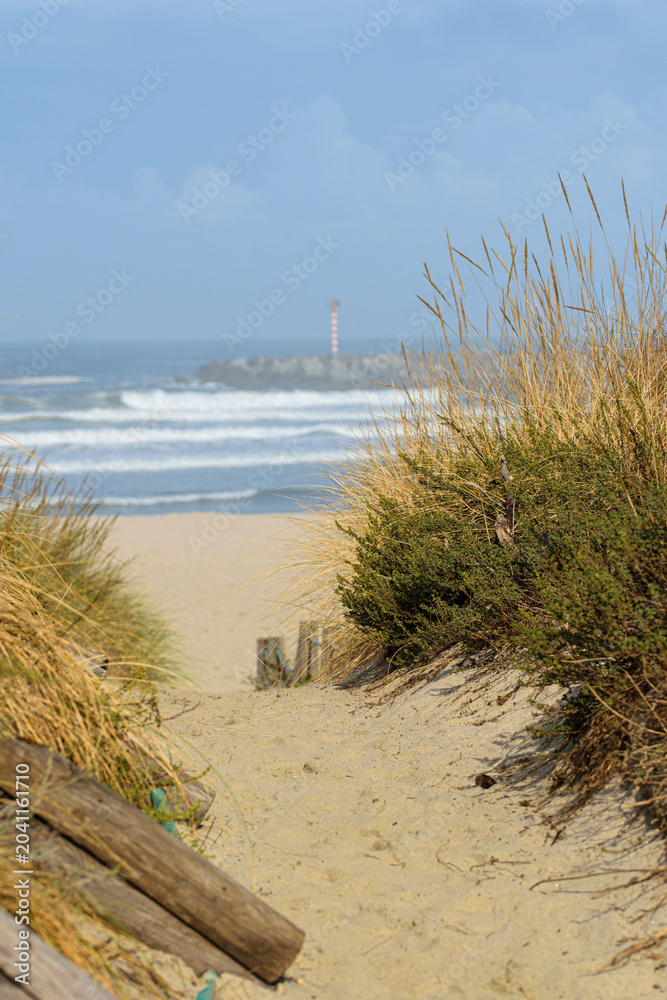 Obraz premium Sandy path leading through dunes to the ocean with a lighthouse in the background The Concept of journey and hope