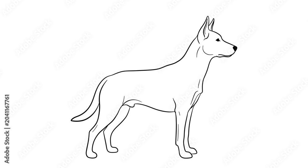 Fototapeta premium A black and white line art sketch depicts a standing dog in minimal outline on a white background.