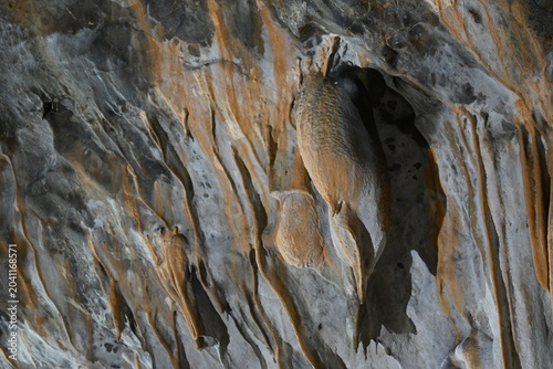 Intricate cave drapery formations with vibrant orange mineral flowstone on rock wall.