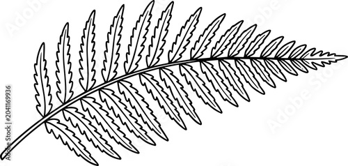 Tableau sur toile Outline drawing of a single fern frond with detailed leaf segments, isolated on white