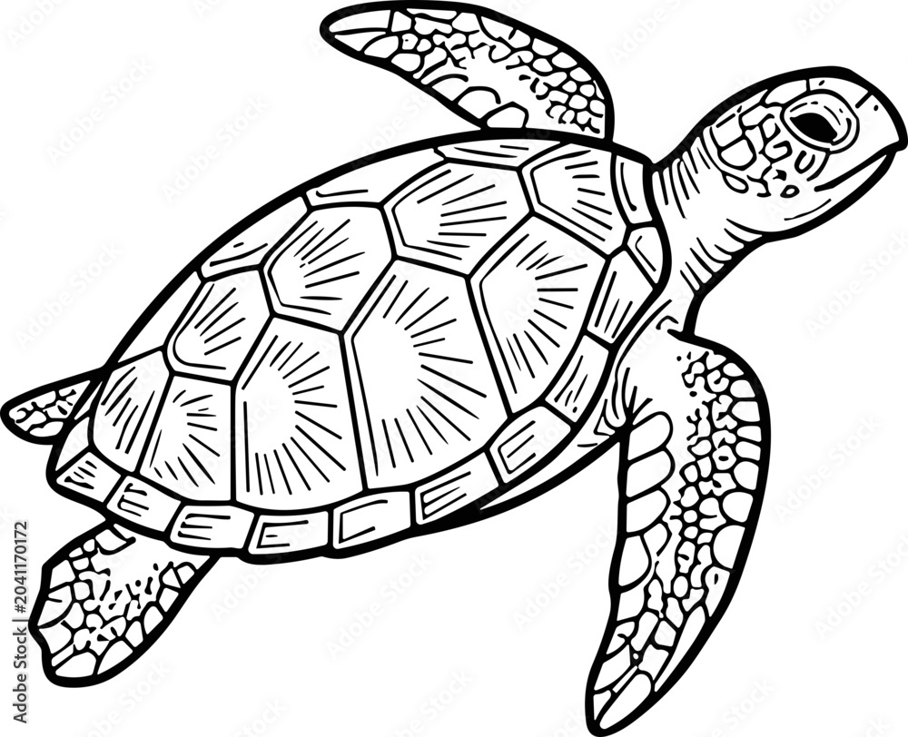 Fototapeta premium Sea Turtle Illustration - Black and White Line Art of a Swimming Turtle