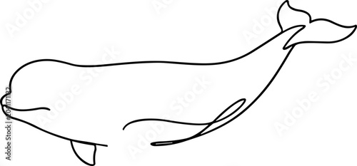 Fotografie Minimalist Beluga Whale Line Drawing