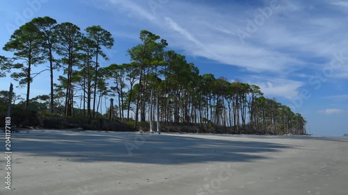 Driftwood Beach on the north end of Jekyll Island, Georgia. Flooded coastal forest along a beach