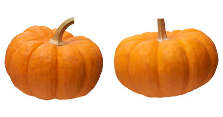 Vegetable pumpkin on transparent background